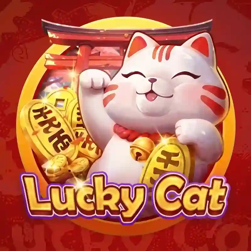 Mèo May Mắn